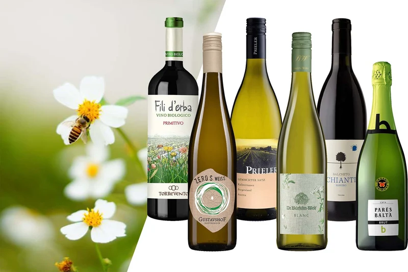 BIO-Weinpaket