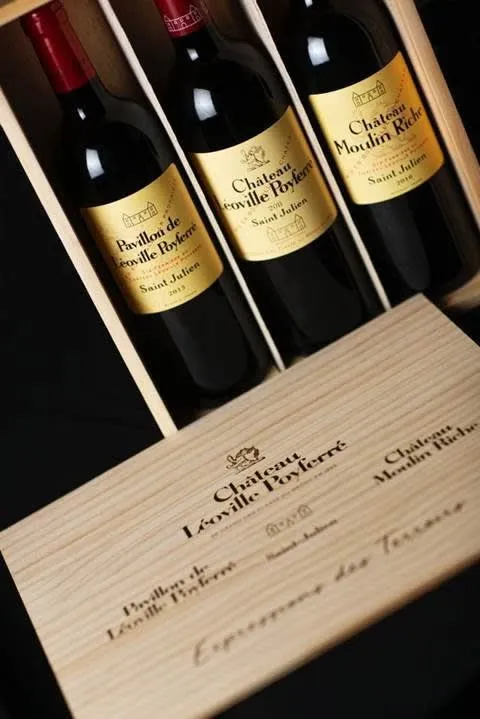 Château Léoville Poyferré Expression des Terroirs (3 fl)